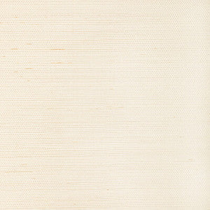 Kravet Wallpaper Luxe Sisal Bone