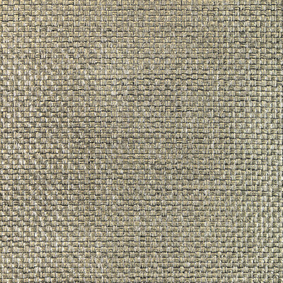 W3832.421.0 by Kravet Wallcovering Kravet Wallcovering W3832.421.0Wallcovering MODERN LUXE WALLCOVERING PAPER - 100% China </p><p>Repeat: H: 0, V: 0 36 - Fabric Carolina -