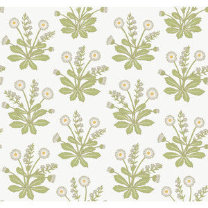 Kravet Wallpaper W3928 303 W3928.303.0