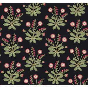 Kravet Wallpaper W3928 817 W3928.817.0