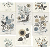 Kravet Wallpaper W3947-6106 W3947.6106.0