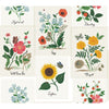 Kravet Wallpaper W3947-73 W3947.73.0