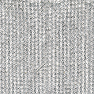 Kravet Design - Wallcovering - W3981.1121.0 - Wallcovering - PALM LEAVES - 100% - Korea, Republic Of </p><p>Repeat: H: , V: 27.5 21 - My Fabric Connection -