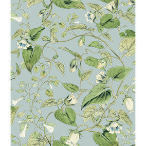 Kravet Wallpaper W4132-153 W4132.153.0