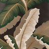 Kravet Wallpaper Isla Royal Wp Cacao W4151.316.0