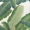 Kravet Wallpaper Isla Royal Wp Verde W4151.33.0