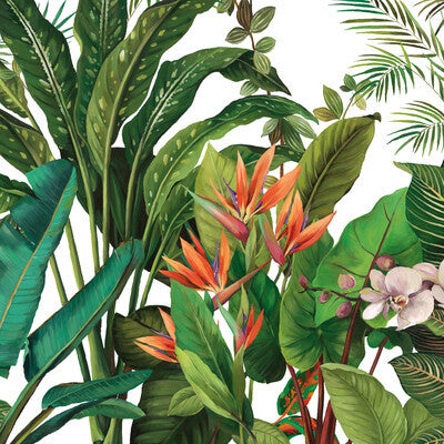 Kravet Design - Wallcovering - W4180.312.0 - Wallcovering - CELLULOSE - 80%;ACRYLIC LATEX - 20% - United States </p><p>Repeat: H: , V: 27.5 21 - My Fabric Connection -