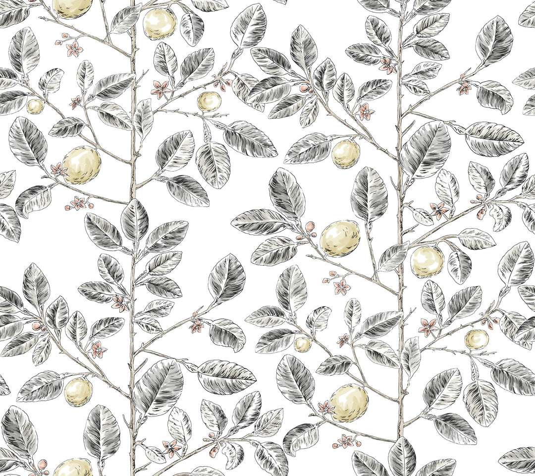 Kravet Design Wallcovering W4241-21