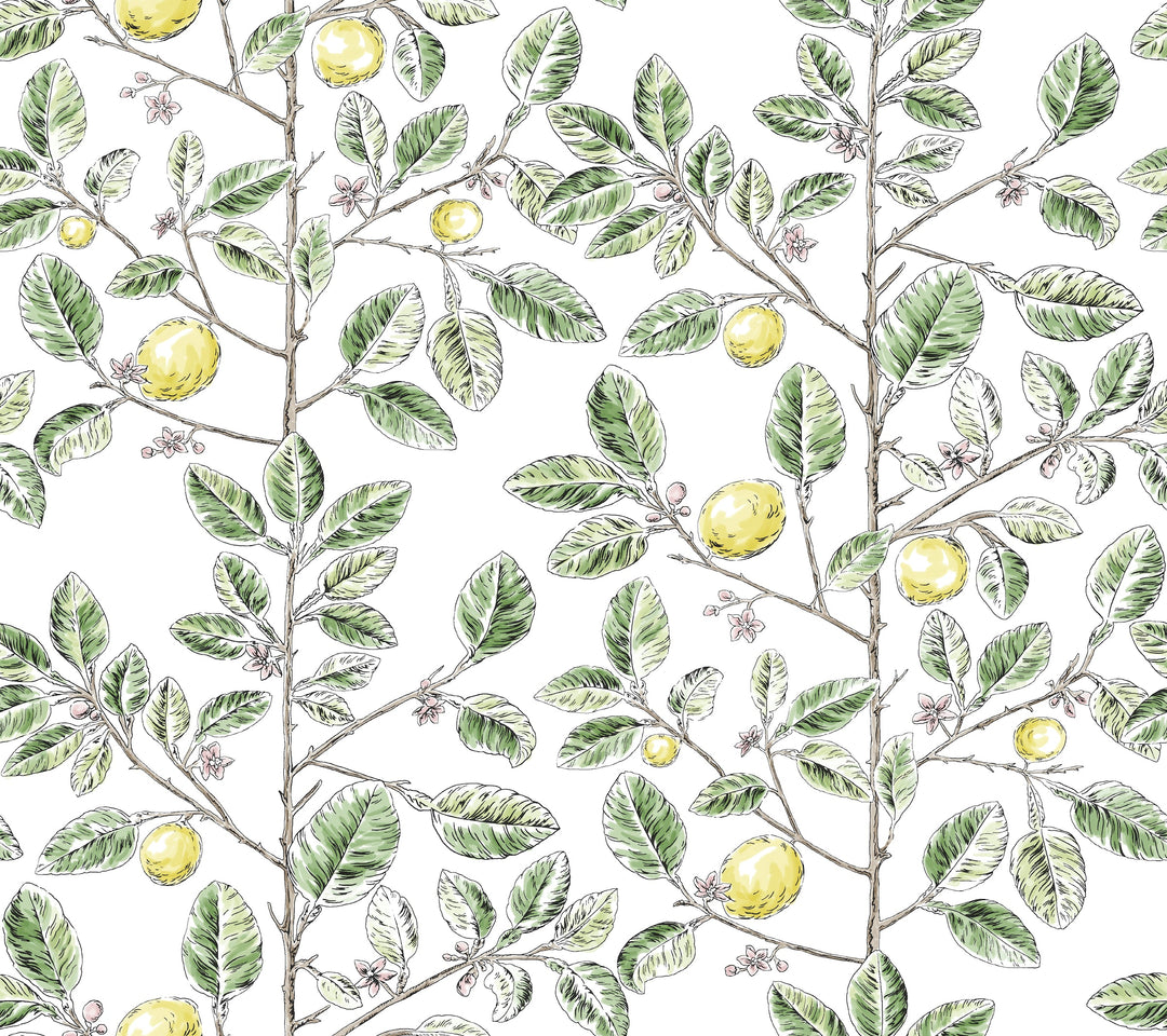 Kravet Design Wallcovering W4241-340