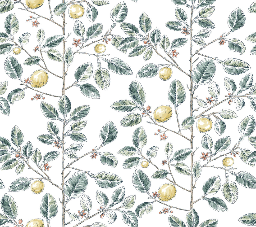 Kravet Design Wallcovering W4241-354