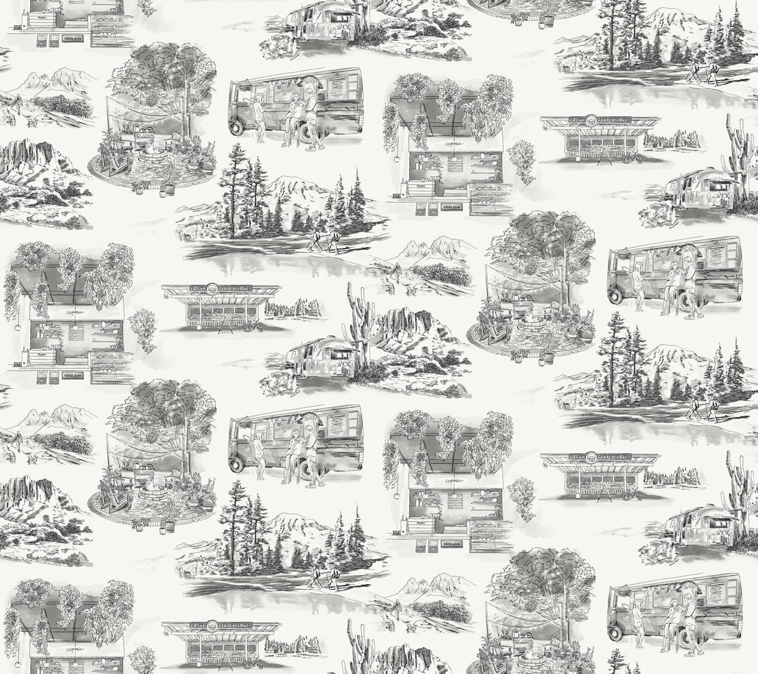 Kravet Design Wallcovering W4245-1121