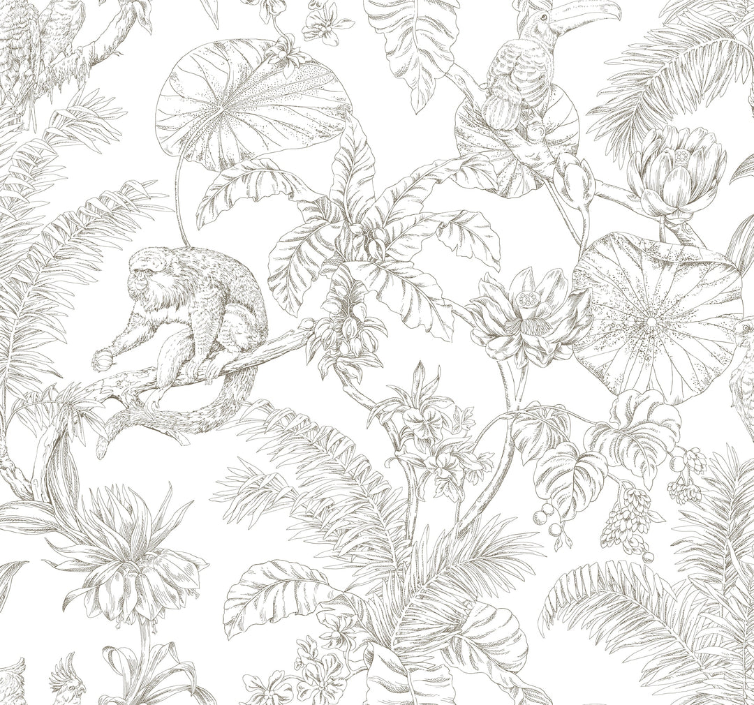 Kravet Design Wallcovering W4250-6