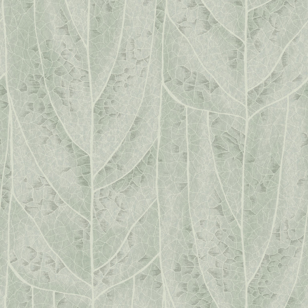 Kravet Design Wallcovering W4308-135