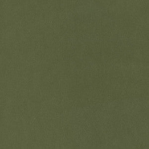 Thibaut Fabric Miles Mohair Velvet Ivy W72822