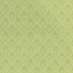 Thibaut Fabric Maddox Leaf W73330