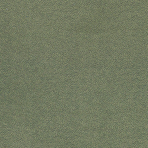 Thibaut Fabric Nala Emerald W74078