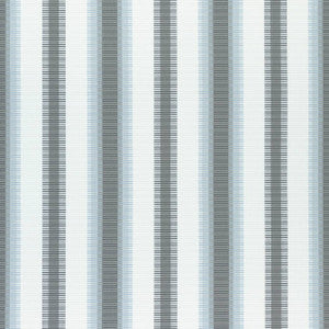 Thibaut Fabric Samba Stripe Charcoal and Mineral W74667