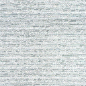 Thibaut Fabric Borealis Glacier W75235