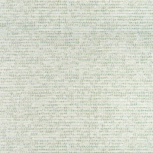 Thibaut Fabric Borealis Seafoam W75236