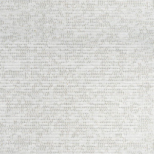 Thibaut Fabric Borealis Platinum W75237