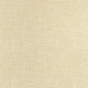 Thibaut Fabric Cascade Straw W75262
