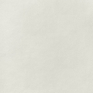 Thibaut Fabric Arcata Ivory W78381