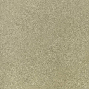 Thibaut Fabric Arcata Twig W78385