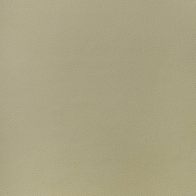 Arcata Twig W78385 by Thibaut Fabric Thibaut Fabric Arcata Twig W78385Fabric Sierra 80% Thermo PU, 20% Polyester KOREA </p><p>Repeat: V: - 54 - Fabric Carolina -