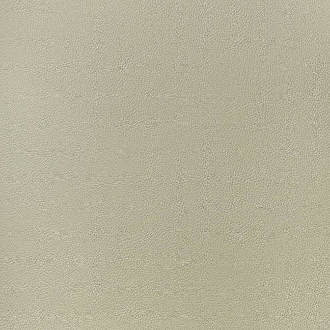 Arcata Oat W78386 by Thibaut Fabric Thibaut Fabric Arcata Oat W78386Fabric Sierra 80% Thermo PU, 20% Polyester KOREA </p><p>Repeat: V: - 54 - Fabric Carolina -