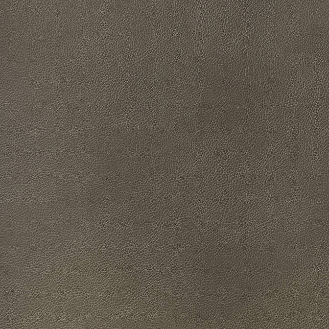 Arcata Bark W78397 by Thibaut Fabric Thibaut Fabric Arcata Bark W78397Fabric Sierra 80% Thermo PU, 20% Polyester KOREA </p><p>Repeat: V: - 54 - Fabric Carolina -