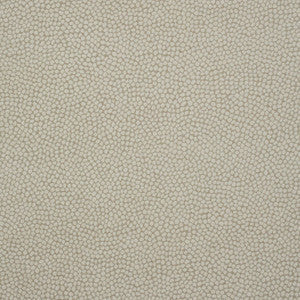 Thibaut Fabric Kali Flax W80516