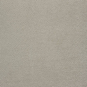Thibaut Fabric Kali Stone W80518