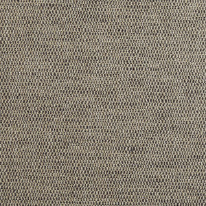 Thibaut Fabric Rito Smoke W8117