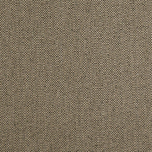 Thibaut Fabric Tinta Mocha W8129