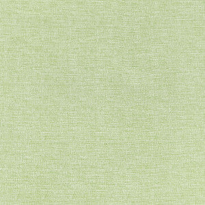 Thibaut Fabric Finley Willow W81609