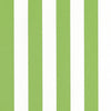 Thibaut Fabric Cabana Stripe Kiwi W81633