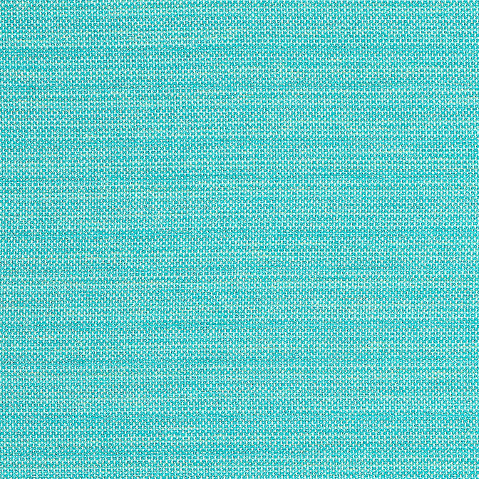 Cameron Capri W81647 by Thibaut Fabric Thibaut Fabric Cameron Capri W81647Fabric Locale 100% Solution Dyed Acrylic ITALY </p><p>Repeat: V: 0 54 - Fabric Carolina -