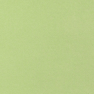 Thibaut Fabric Tessa Kiwi W81656