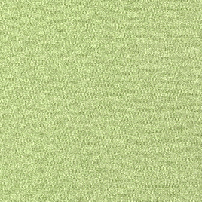 Tessa Kiwi W81656 by Thibaut Fabric Thibaut Fabric Tessa Kiwi W81656Fabric Locale 100% Solution Dyed Acrylic MEXICO </p><p>Repeat: V: 0 54 - Fabric Carolina -