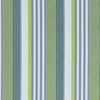 Thibaut Fabric ESPRIT STRIPE - Bermuda and Kiwi