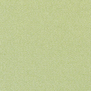 Thibaut Fabric Castaway Kiwi W81712