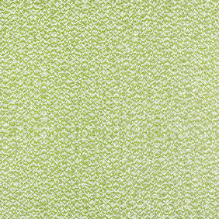 Calista Kiwi W81716  by Thibaut Fabric Thibaut Fabric Calista Kiwi W81716 Fabric SOLEIL U.S.A </p><p>Repeat: H: 4.75 in (12.06 cm), V: 5.25 (13.34 cm) 53 in  (134.62 cm) - Fabric Carolina -