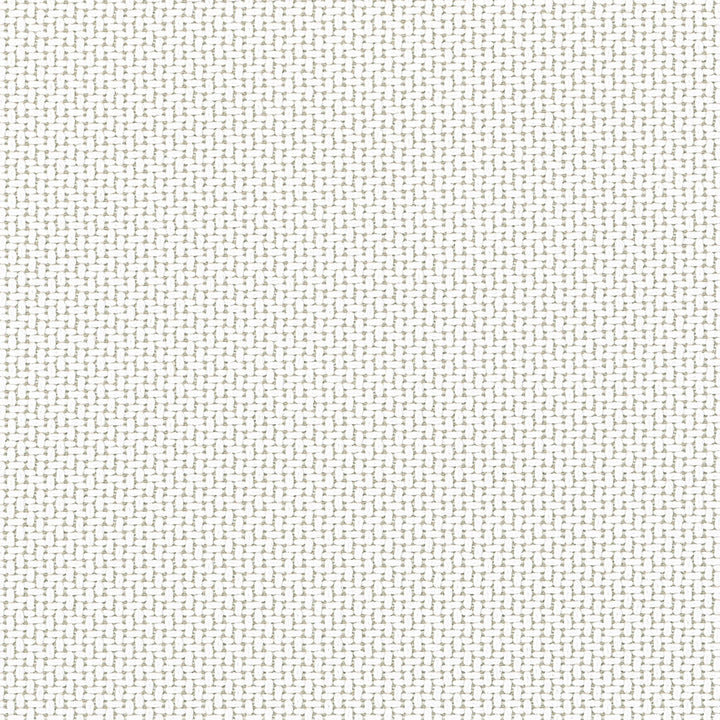 Abacos Oatmeal W81722  by Thibaut Fabric Thibaut Fabric Abacos Oatmeal W81722 Fabric SOLEIL TEXTURES U.S.A </p><p>Repeat: H: , V: 0 (0.00 cm) 54 in  (137.16 cm) - Fabric Carolina -
