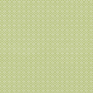 Thibaut Fabric Bistro Kiwi W81731