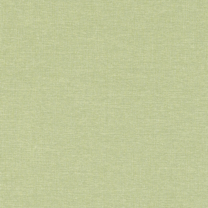 Finn Kiwi W81759  by Thibaut Fabric Thibaut Fabric Finn Kiwi W81759 Fabric SOLEIL TEXTURES U.S.A </p><p>Repeat: H: , V: 0 (0.00 cm) 53.5 in  (135.89 cm) - Fabric Carolina -