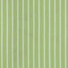 Thibaut Fabric SEASIDE STRIPE - Kiwi