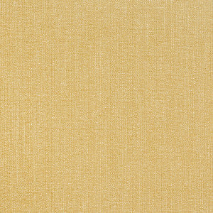 Thibaut Fabric Veda Straw W8715