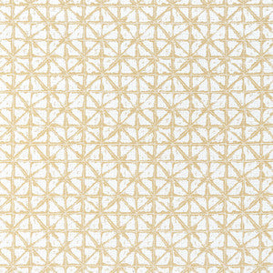 Thibaut Fabric Soren Straw W8741