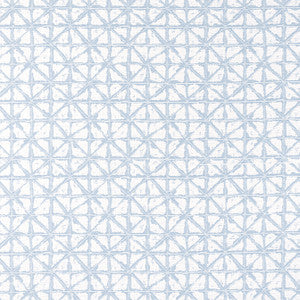 Thibaut Fabric Soren Powder W8743