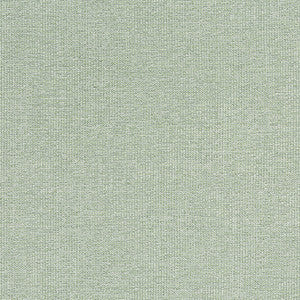 Thibaut Fabric Sacchi Aloe W8759